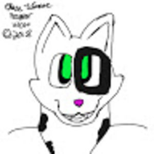 Meet your Posher, Chase